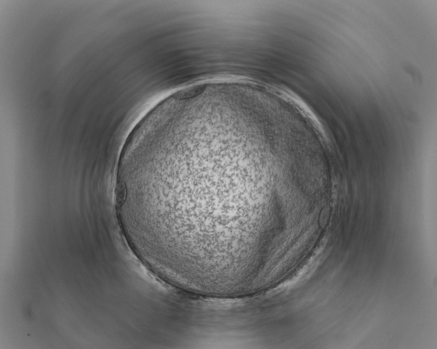 X0000112100860200908181324