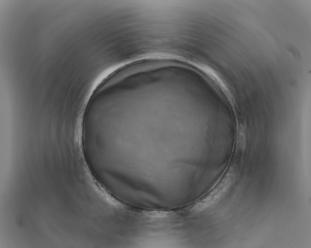 X0000112100862200908181324