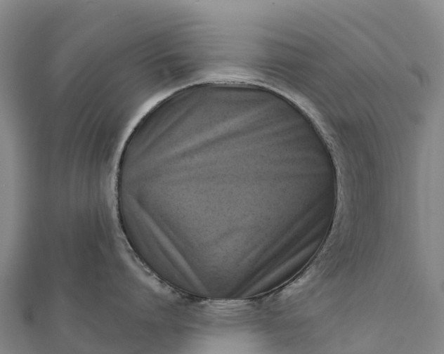 X0000112100864200908181324