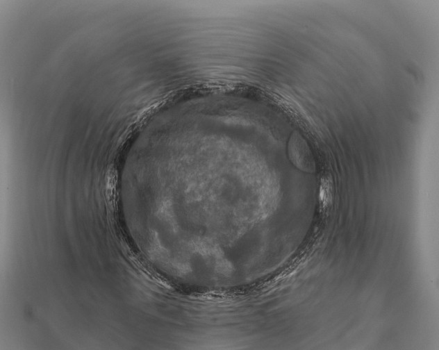 X0000112100867200908181323