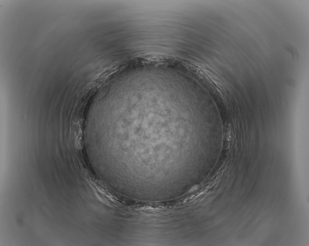 X0000112100868200908181323
