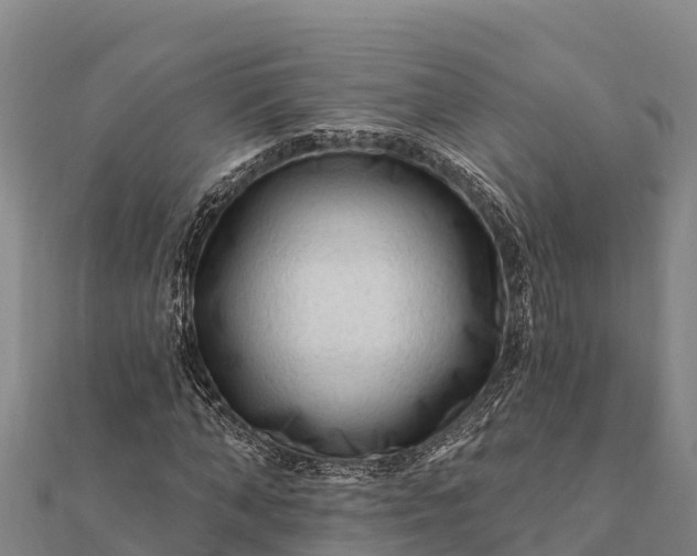 X0000112100870200908181323