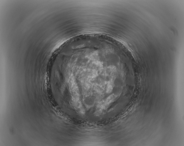 X0000112100871200908181323