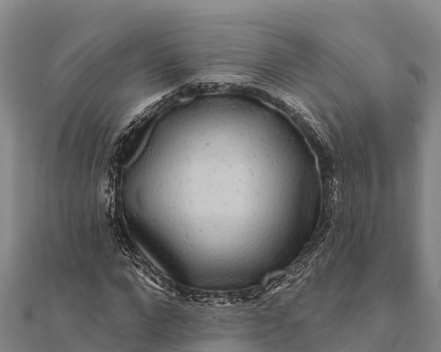 X0000112100872200908181323