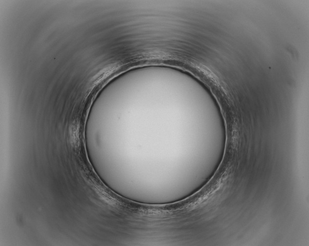 X0000112100873200908181323