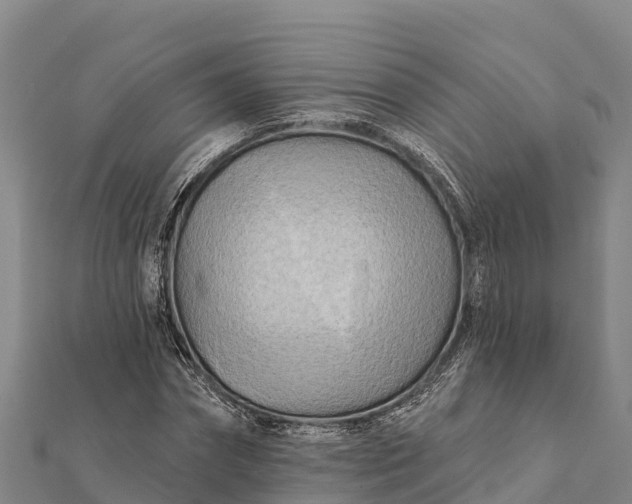 X0000112100874200908181323