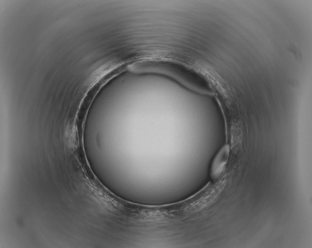 X0000112100876200908181323