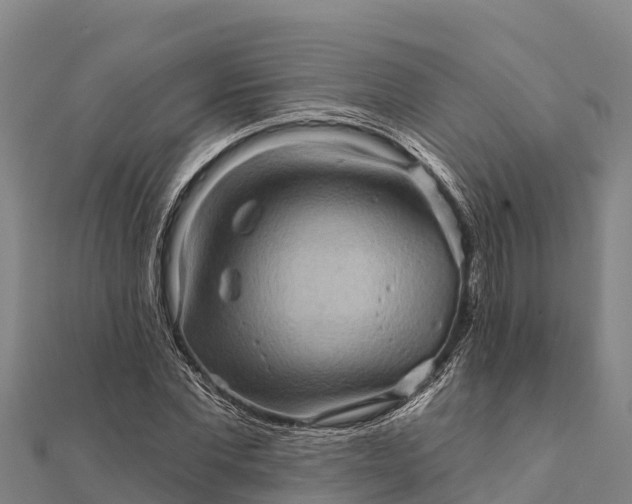 X0000112100877200908181323