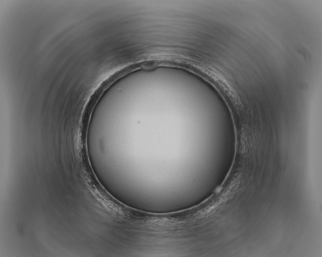 X0000112100880200908181323
