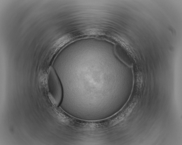 X0000112100881200908181323