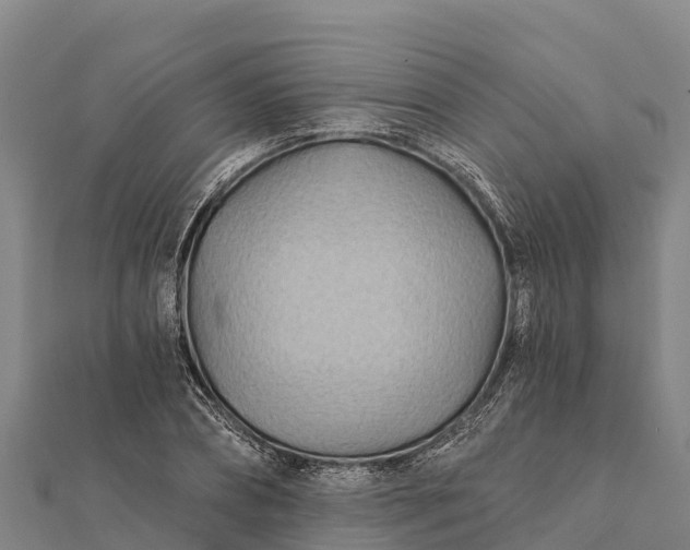 X0000112100882200908181323