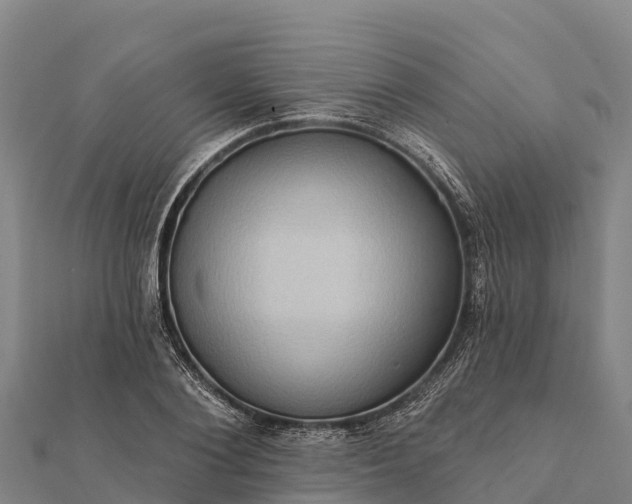 X0000112100884200908181323