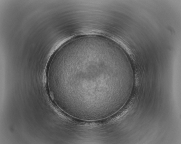 X0000112100885200908181323
