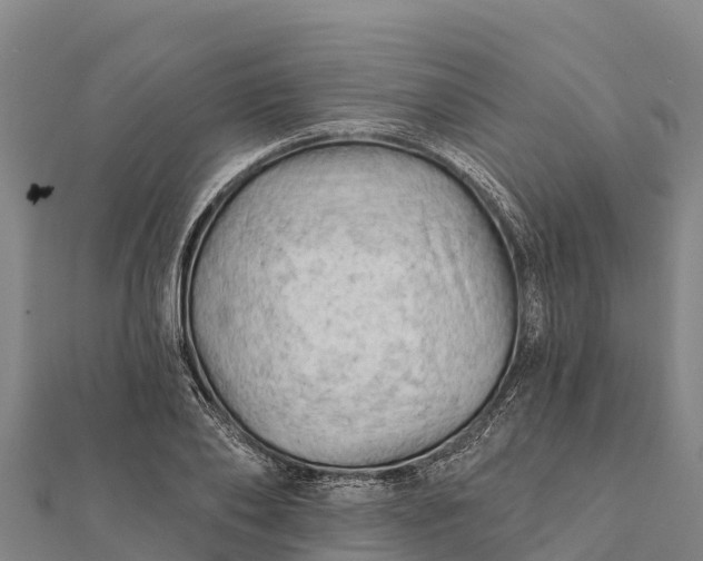 X0000112100886200908181323