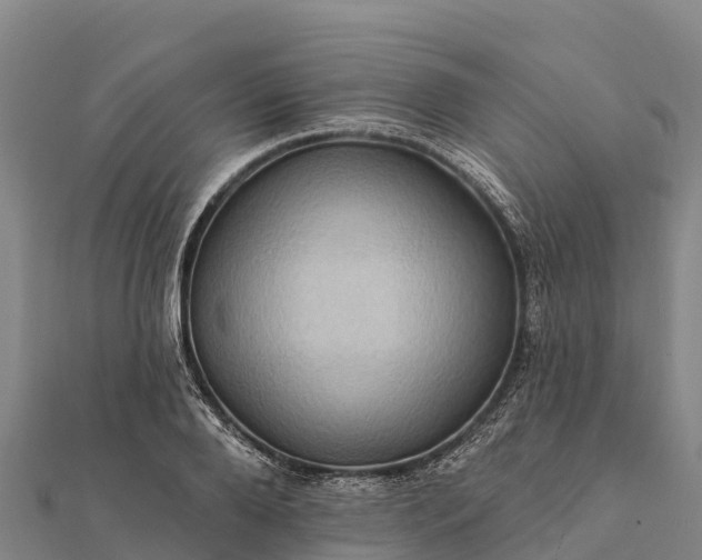 X0000112100888200908181323