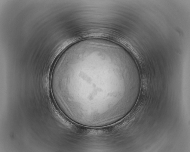 X0000112100890200908181323