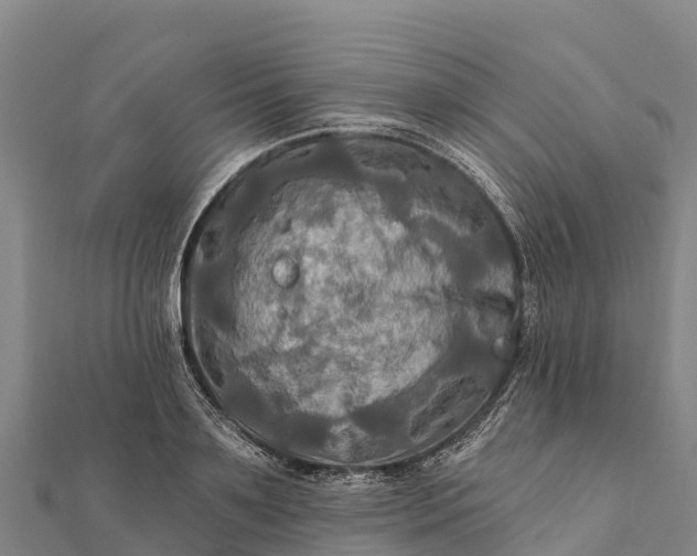 X0000112100891200908181323
