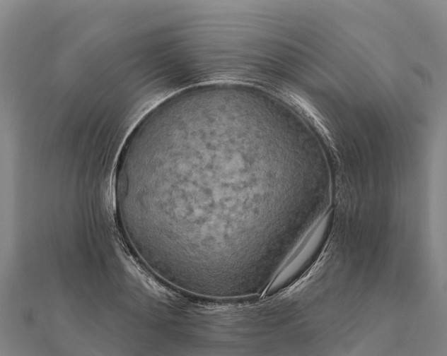 X0000112100892200908181323