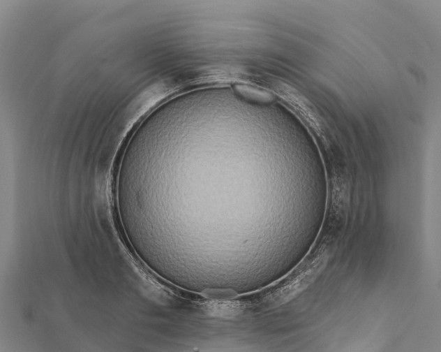 X0000112100893200908181323