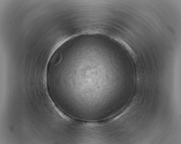 X0000112100894200908181323