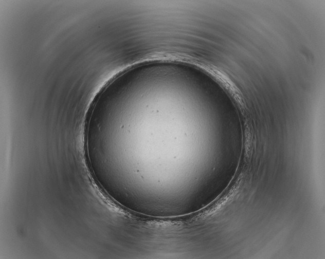 X0000112100896200908181323