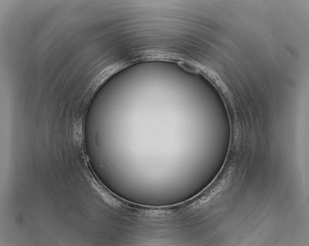 X0000112100897200908181323