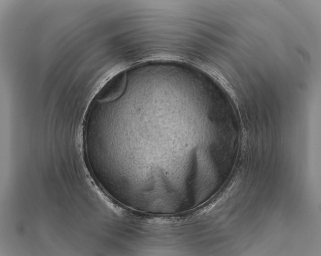 X0000112100898200908181323