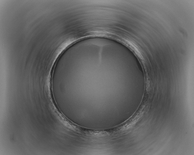 X0000112100899200908181323