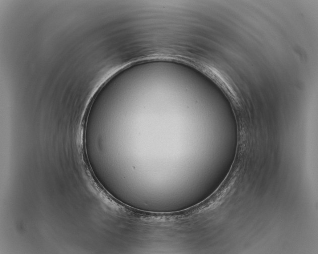 X0000112100900200908181323