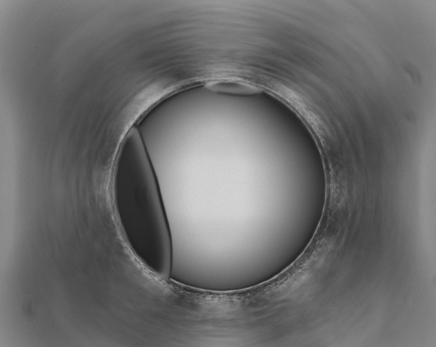 X0000112100901200908181323