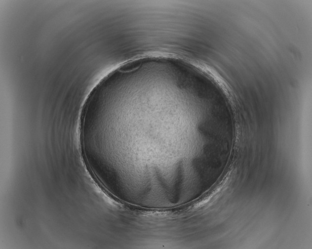 X0000112100902200908181323