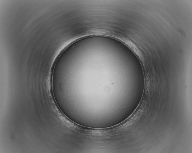 X0000112100904200908181323