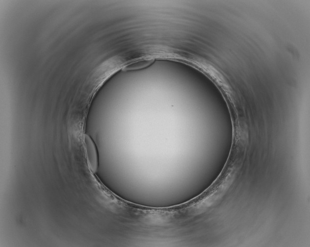 X0000112100905200908181323