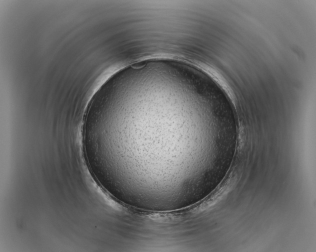 X0000112100906200908181323