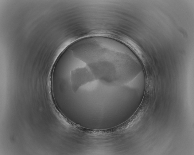 X0000112100907200908181323
