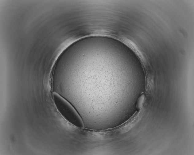 X0000112100908200908181323