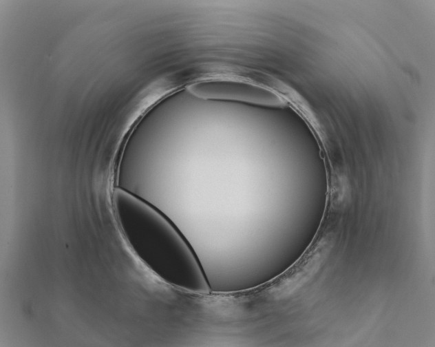 X0000112100909200908181323