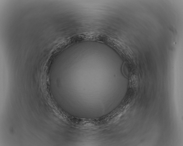 X0000112100913200908181322