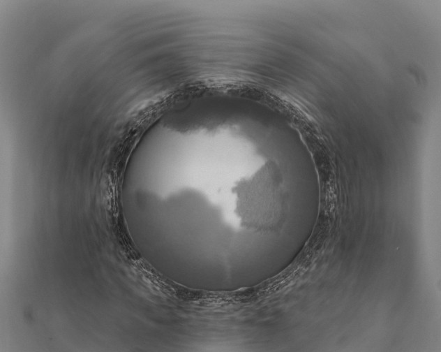 X0000112100917200908181322