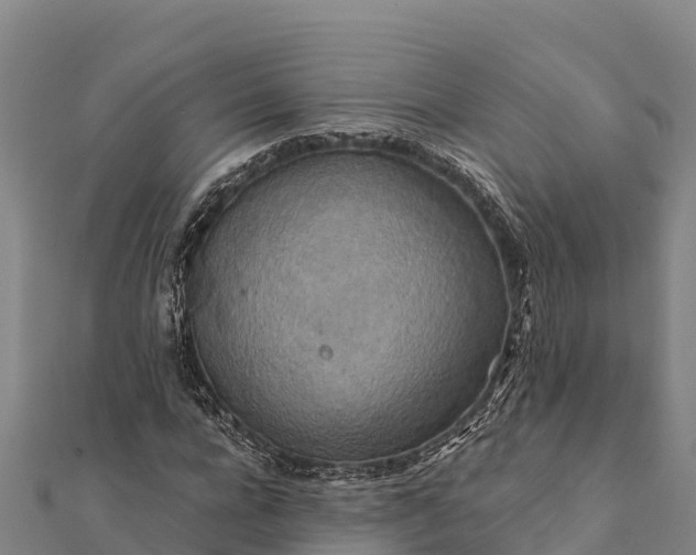 X0000112100920200908181322