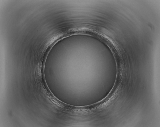 X0000112100921200908181322