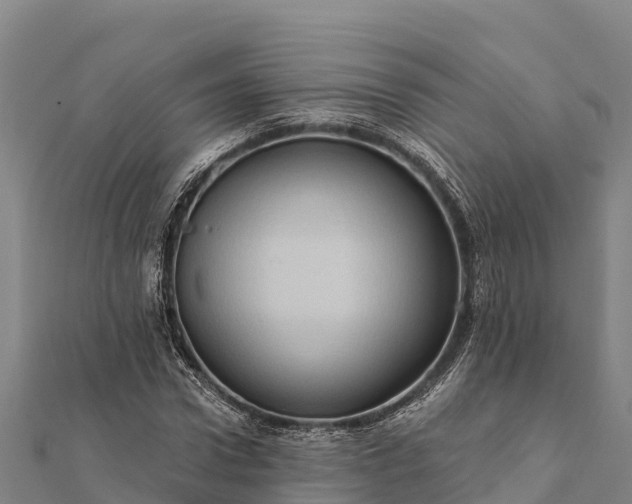 X0000112100922200908181322