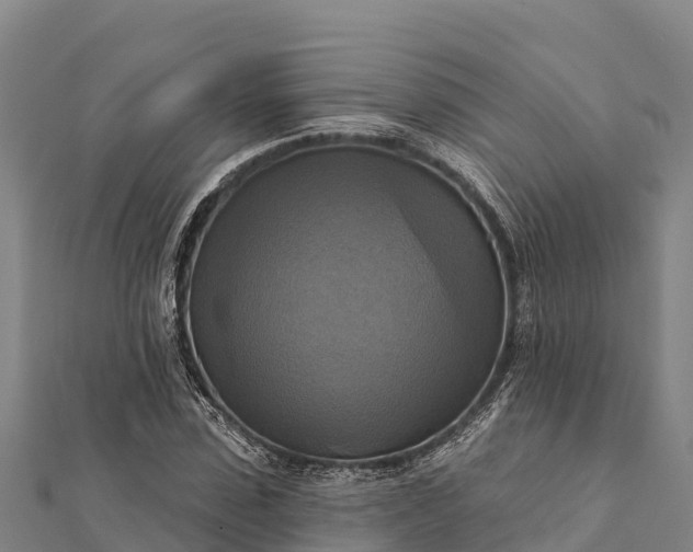 X0000112100923200908181322