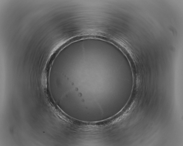 X0000112100925200908181322