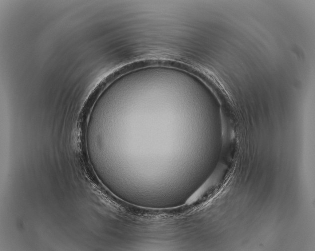 X0000112100926200908181322