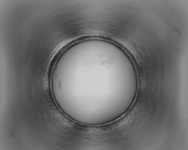 X0000112100927200908181322