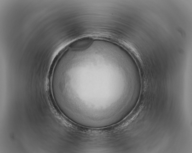 X0000112100928200908181322