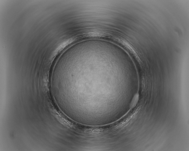 X0000112100930200908181322