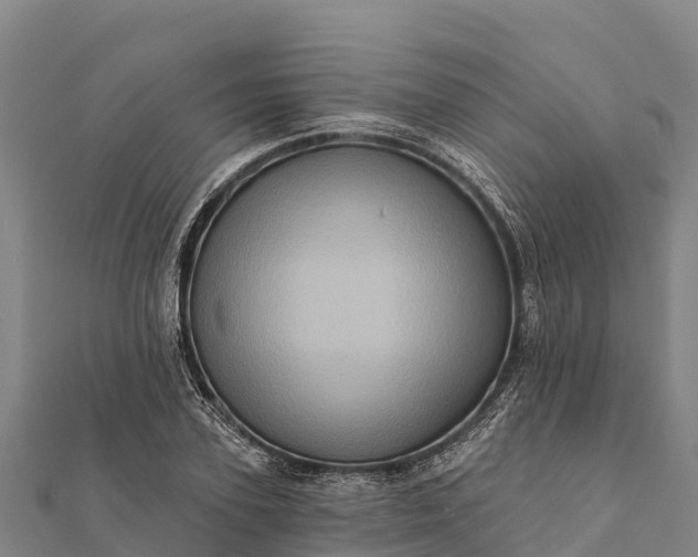 X0000112100931200908181322