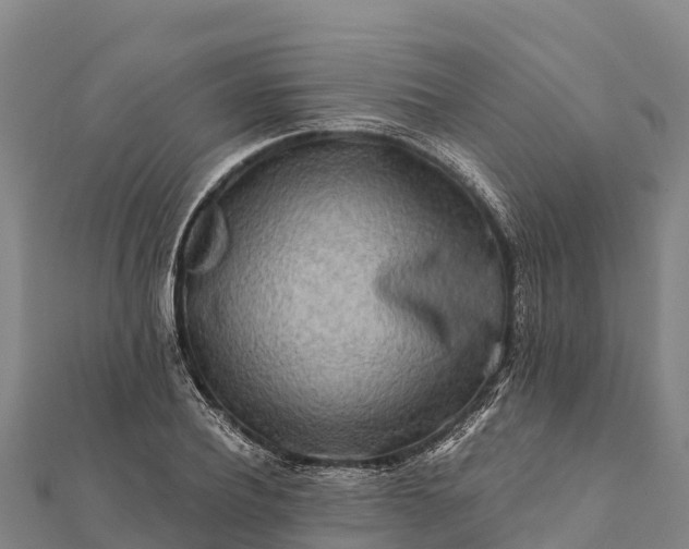 X0000112100932200908181322